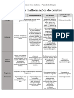 Principais Malformações Do Cérebro