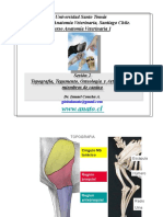 (UST) Anatomia 2 - Topografia