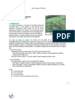 Projet Manioc Déborah