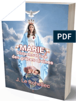 Le Rohellec Marie Dispensatrice Des Graces Divines - 8810628