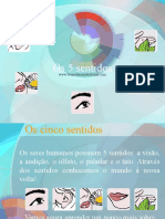 Os 5 Sentidos