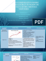 Cuadro Comparativo Sobre La Estructura y Función de