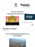 Análise de Risco de Queda de Árvores Brazolin