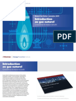 Summary Introduction To Natural Gas-FR