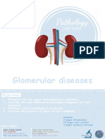 Summary Nephritic, Nephrotic Syndromes