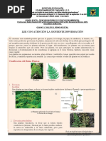 Taller El Reino de Las Plantas