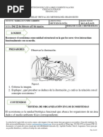 Guía 2 de Aprendizaje Virtual 2021 Metodología Grado Sexto