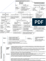 Test y Evaluacion Neuropsicologica