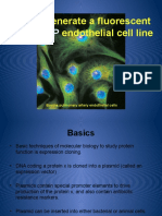 Week 1 Wednesday Dev Biol Presentation 170810