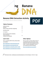 Extracting DNA From Banana