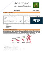 Biología - Primero