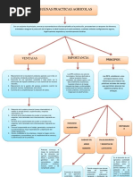 Mapa Conceptual Buenas Practicas Agricolas