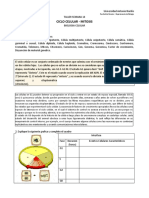 Taller Semana 14-Ciclo Celular-Mitosis