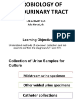 Learning Objective: Lab Activity Gus Julia Hartati, DR