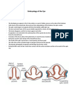 Embryology of The Eye: Optic Cup and Lens Vesicle