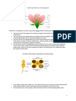 Sexual Reproduction in Plants