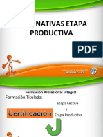 Alternativas Etapa Productiva