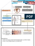 G Fisiologia y Homeostasis