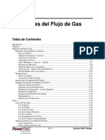 SWT9 - Gas Spanish