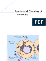 Structure, Function and Chemistry of Membrane