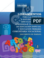 Lineamientos para Dificultades en El Aprendizaje