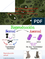 Exposición Sobre Reproducción Vs Extinción de Espacies