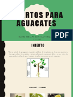 Tipos de Injertos para Aguacates - Exposicion