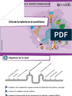 04 - Power Biologia