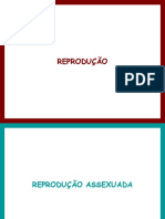 PP 05 U6 Reprodução