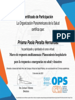 Marco de Respuesta Multiamenaza Planeamiento Hospitalario para La Respuesta A Emergencias en Salud y Desastres-Certificado Del Curso 993280