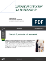 Principio de Protección A La Maternidad