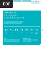 Bunzl 2018