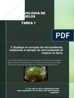 Microbiologia de Suelos TAREA 1