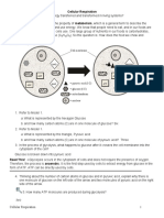 Cellular Work Sheet