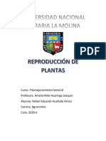 Fitomejoramiento Informe 2