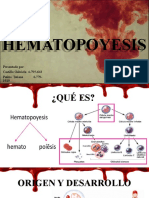 HEMATOPOYESIS