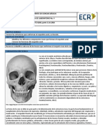 Guía 2 Sistema Axial CARA