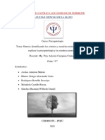 Semana 02 Síntesis de Psicopatología y Conducta Anormal