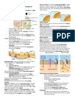 Transport Mechanisms