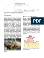 Mecanismos Moleculares Implicados en La Rigidez Cadavérica (Rigor Mortis)