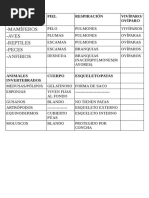 Esquema Vertebrados e Invertebrados