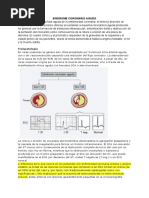 SX Coronario