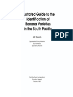 Illustrated Guide To The Identification of Banana Varieties in The South Pacific