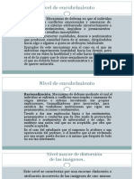 Nivel de Encubrimiento: Proyección. Mecanismo de Defensa en Que El Individuo