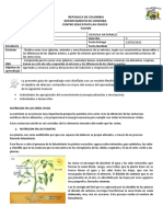 Naturales 4°-2021