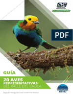 Guia Aves Representativas Del Valle Del Cauca