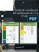 Cartilla de Vacunación Del Adolescente de 10 A