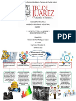 Mapa Mixto Introduccion A La Higiene y Seguridad