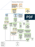 Pathophysiology of Inflammatory Response