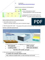 Micropipette DNA Sample Loading Buffer DNA Size Standard: Gel Box With Buffer and Gel